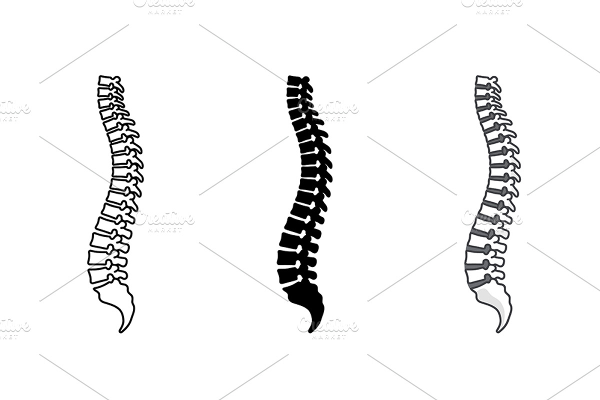 Human Spine Vector Icon Set, an Object Graphic by Artonix (Photo 2 of 3)