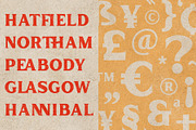 Inlander - Retro Display Font, a Serif Font by Edignwn Type (Thumbnail 7 of 12)