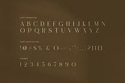 Navara Elegant Ligature Serif Font, a Serif Font by Graphicxell (Thumbnail 7 of 8)