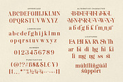 Sherly Kitchen a Delicious Serif, a Serif Font by Blankids Studio (Thumbnail 11 of 11)