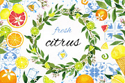 Citrus. Watercolor collection, an Illustration by Kuzya's shop (Thumbnail 1 of 9)