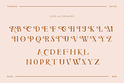 Ancient Zurich - Elegant Serif Logo, a Serif Font by Dirtyline Studio (Thumbnail 7 of 22)