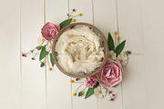 Newborn Photography Digital Backdrop preview 2