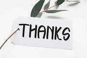 Yesterday, a Script Font by FreshTypeINK (Thumbnail 7 of 7)
