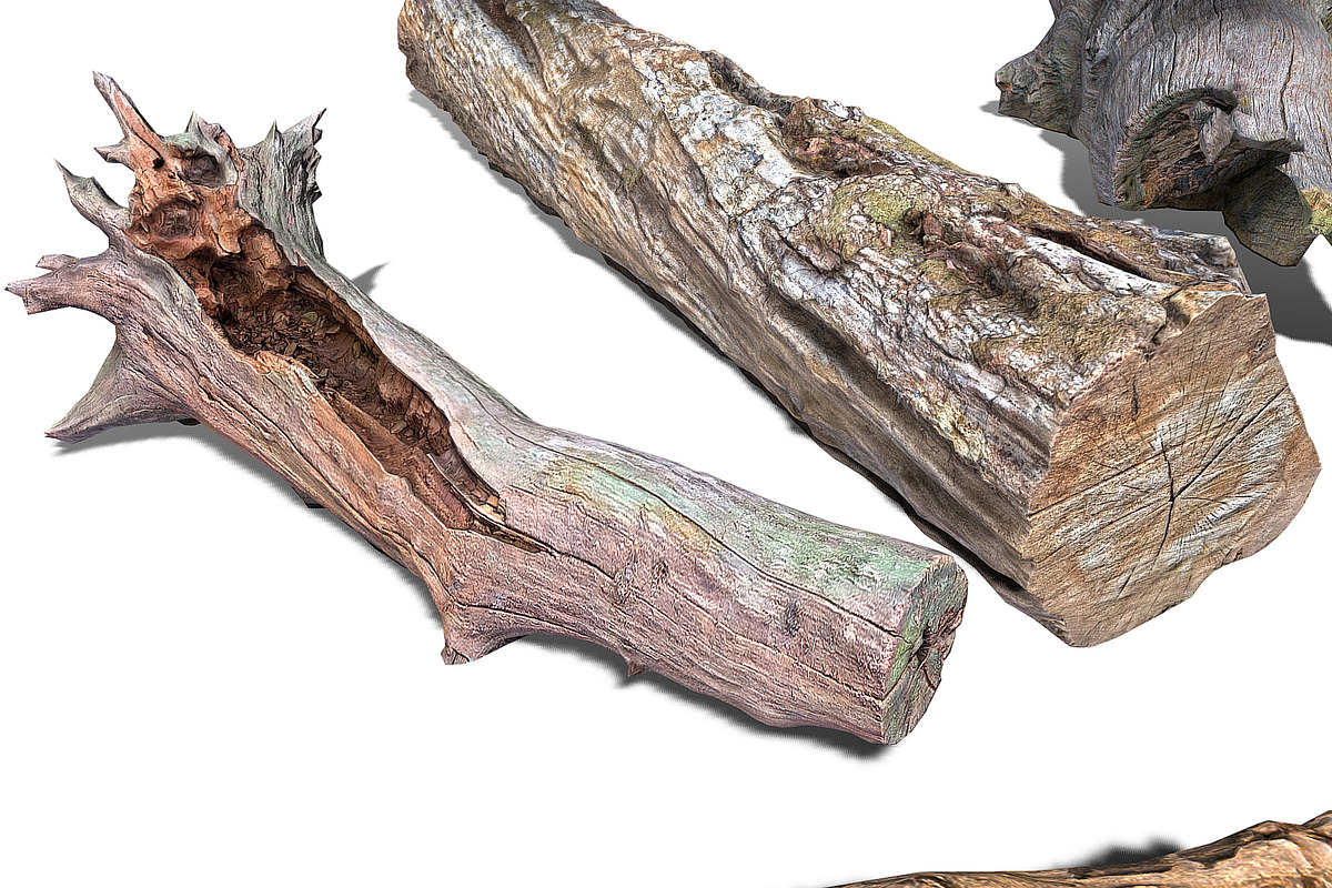 13 Tree Logs, an Environmental 3D Model by Beatheart Creative Studio (Photo 32 of 37)