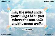 TAN - SUNDAY TIMES, a Serif Font by TanType (Thumbnail 3 of 9)