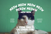 Dooca Doodle Fonts, a Handwritten Font by tomatstudio (Thumbnail 4 of 6)
