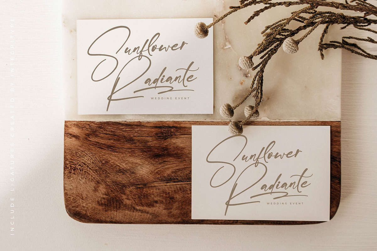 Sunlightter, a Script Font by Integritype Studio (Photo 11 of 15)