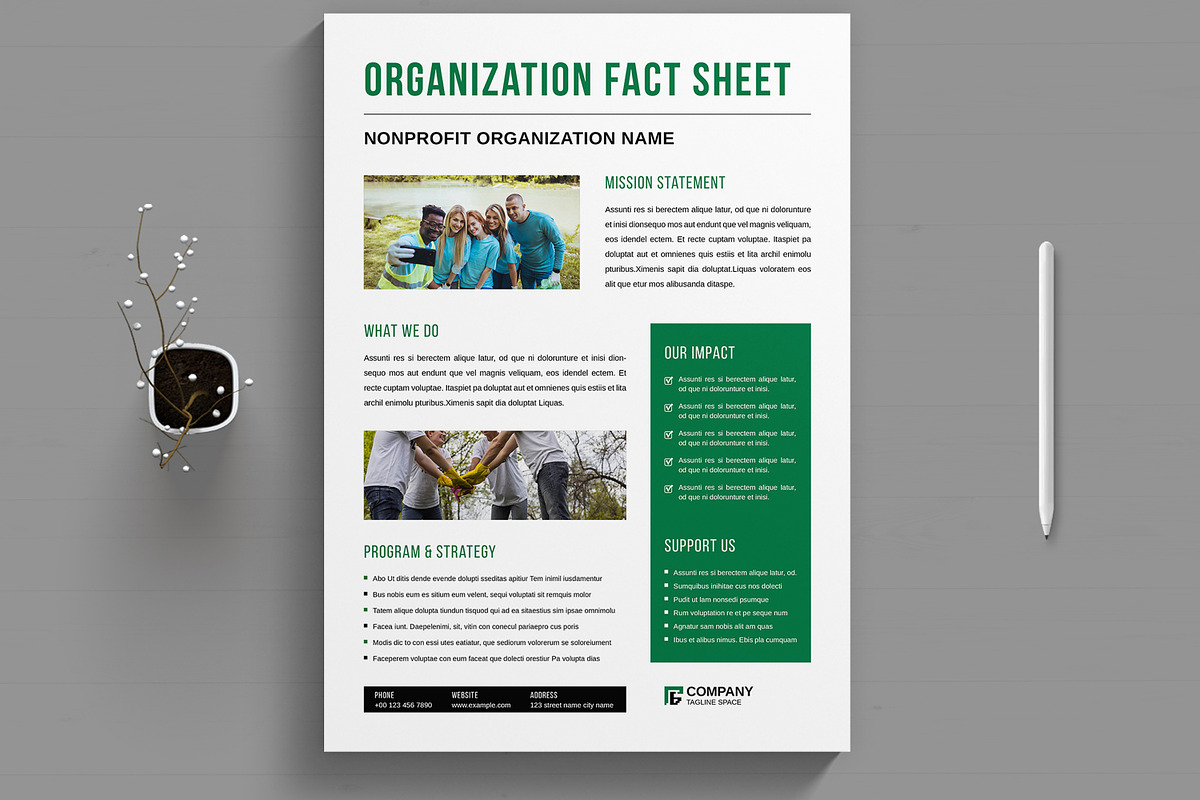 Nonprofit Organization Fact Sheet, a Flyer Template by MightyDesign (Photo 1 of 8)