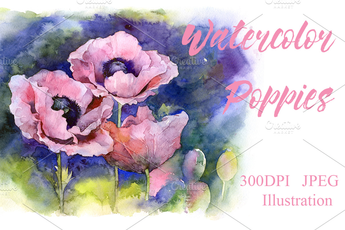 Watercolor Poppies Flowers Art, a Decorative Illustration by MaryAmi (Photo 1 of 3)