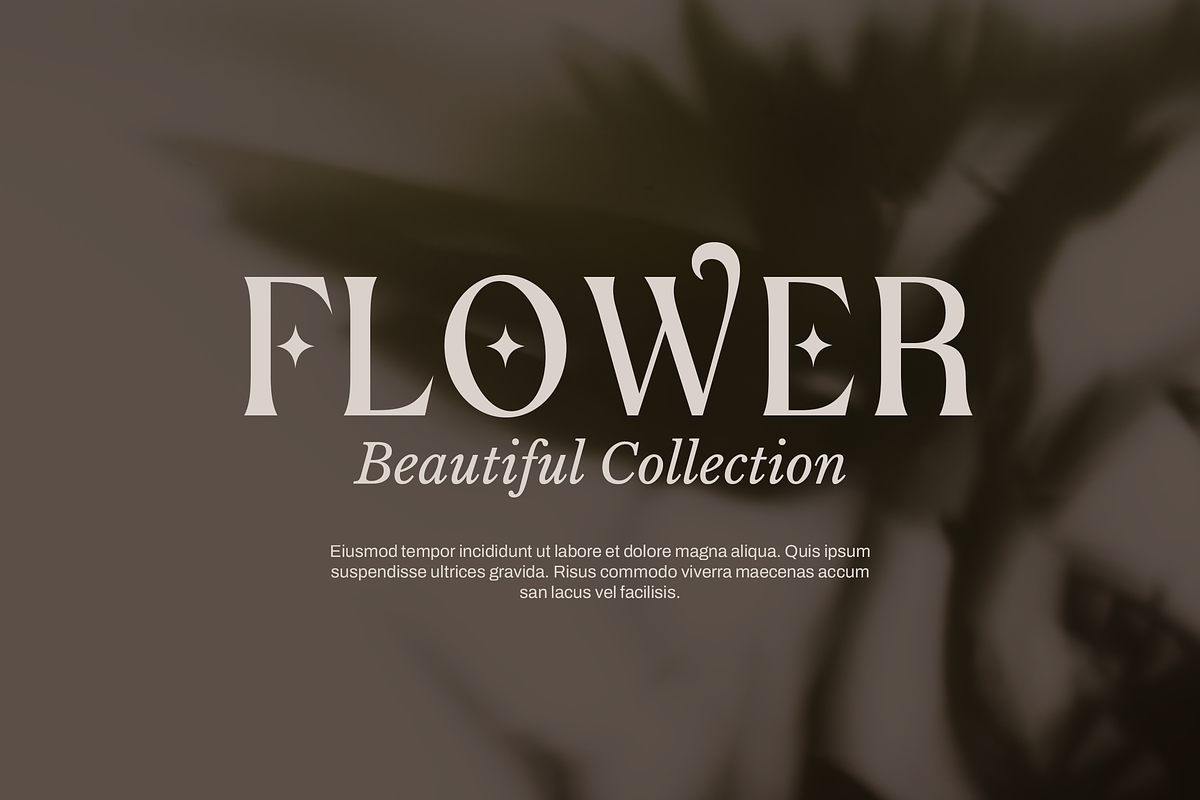 Botanics Display Variable, a Serif Font by Typetemp Studio (Photo 3 of 11)
