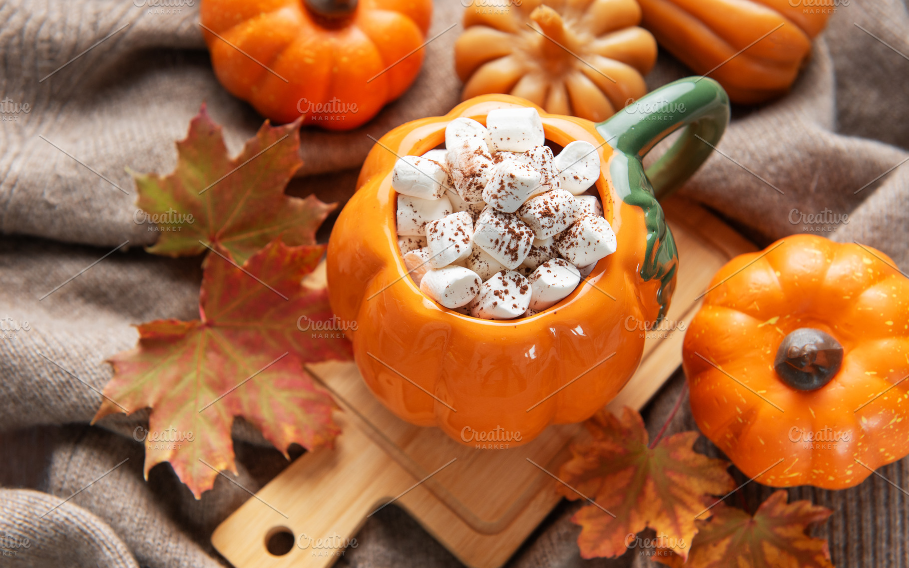 Cozy pumpkin mug with hot chocolate and marshmallows, a Food & Drink Photo by Olena Rudo