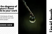 Liquid Jewels – Macro Photography, a Nature Photo by Virgo Studio (Thumbnail 6 of 6)
