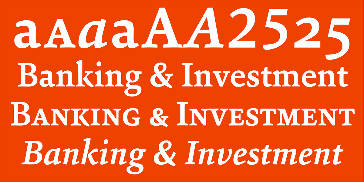 Sina Nova, a Serif Font by Hoftype (Photo 4 of 15)