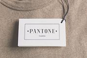 Blaine, a Serif Font by Larin Type Co. (Thumbnail 8 of 11)