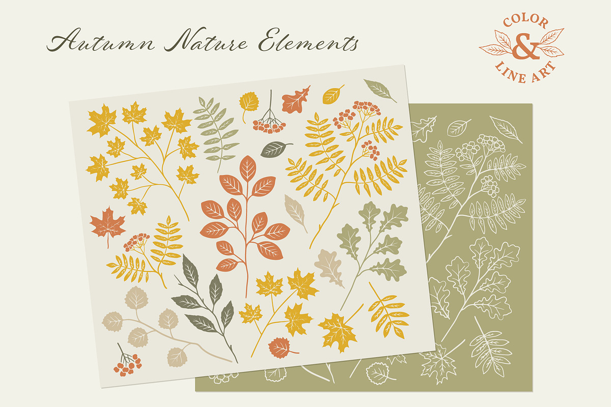 Autumn Thanksgiving Harvest Clipart, a Decorative Illustration by Wild and Wonder by Ana (Photo 4 of 13)