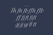 Cedar & Ink Typeface, a Serif Font by aquene (Thumbnail 7 of 16)