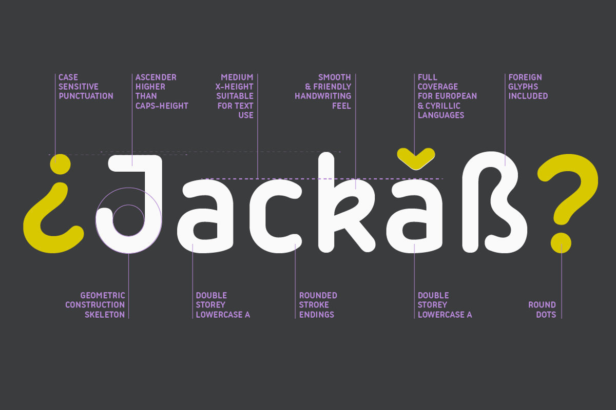 Iconic - 30 fonts, a Sans Serif Font by Zetafonts (Photo 10 of 17)