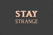 Spirit Box Serif Type Family, a Serif Font by Beck McCormick (Thumbnail 18 of 20)