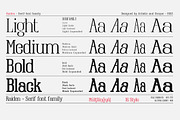 Raiden - Serif font family, a Serif Font by Artistic & Unique (Thumbnail 4 of 13)