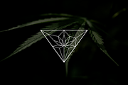 Geometric Luxury Cannabis Logo, a Branding & Logo Template by Luxury Logos (Thumbnail 2 of 4)