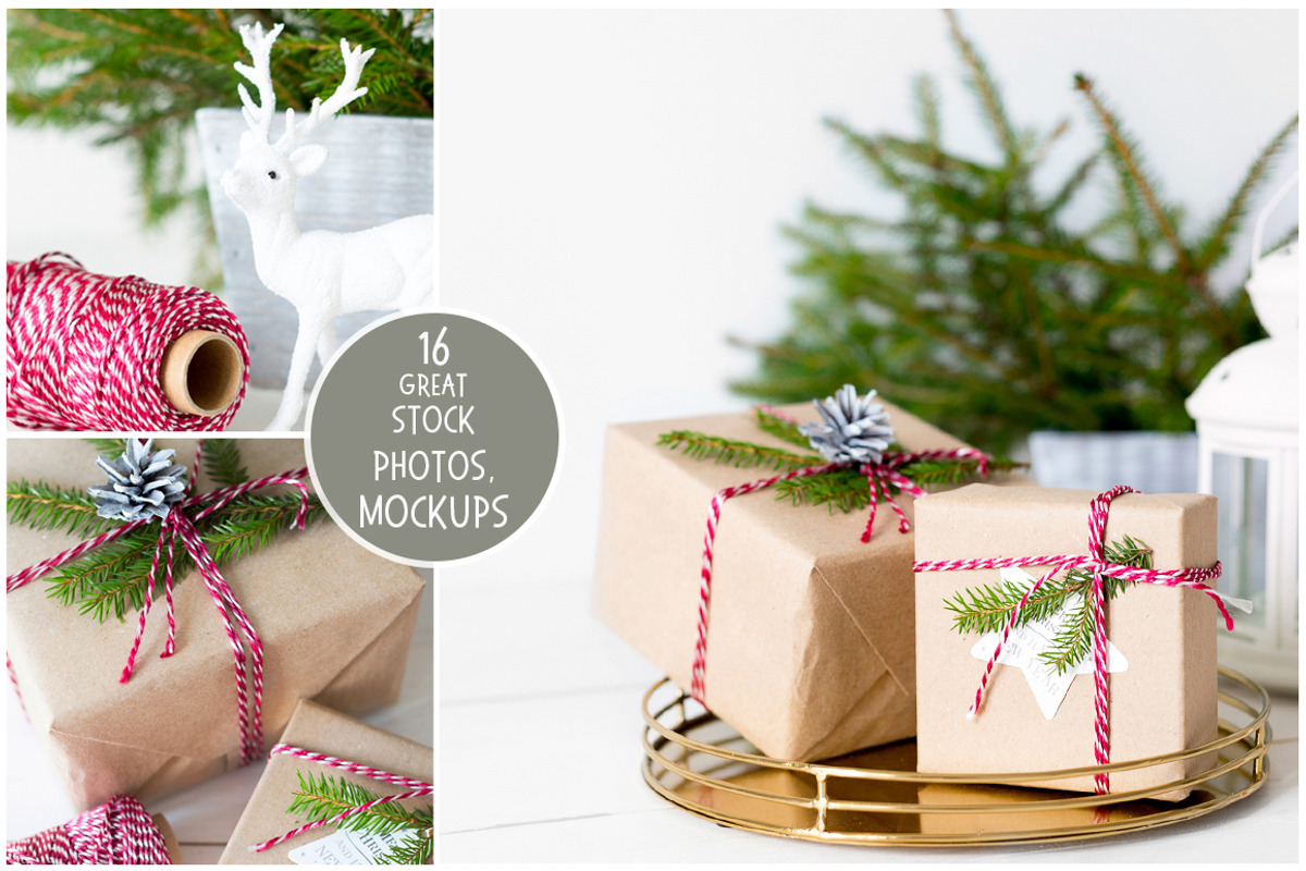Joy Christmas Bundle, a Holiday Photo by Kate Roubin (Photo 6 of 8)
