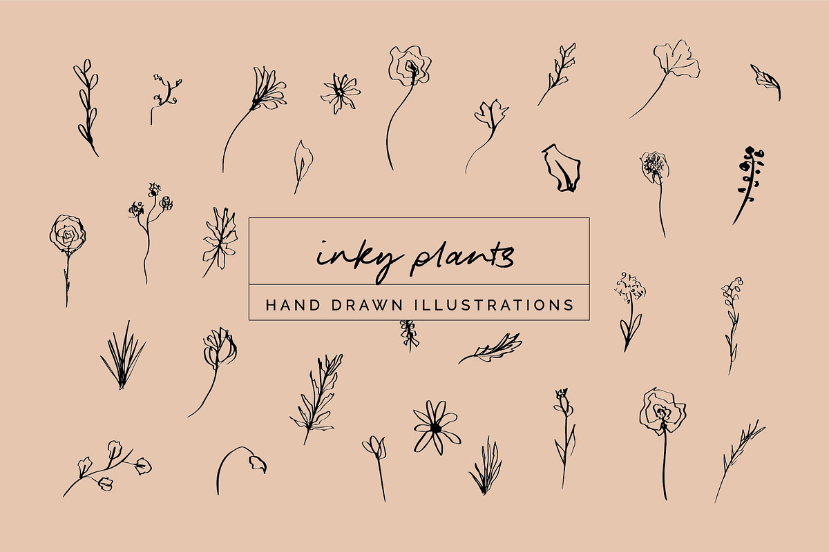 Floral Botanical Plant Illustrations, an Icon by CreativeWilderness (Photo 1 of 11)