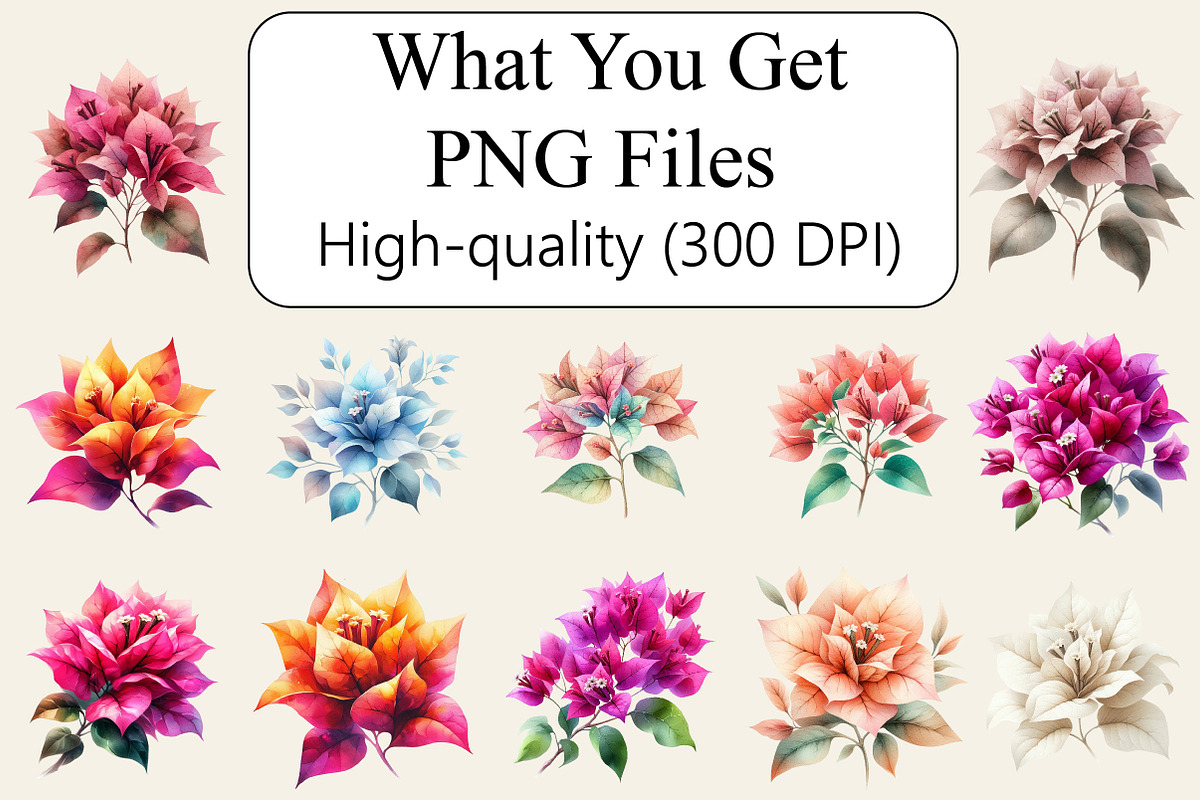 Bougainvillea Flowers Clipart Bundle, an Illustration by Libby Wishes (Photo 3 of 3)