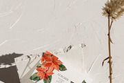 FLORAL WINTER BOX Watercolor Bundle, a Seasonal Illustration by Muse Artist (Thumbnail 33 of 95)
