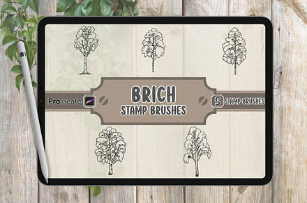 Brich Brush Stamp Set for Procreate, a Brush Add-On by vectstudio