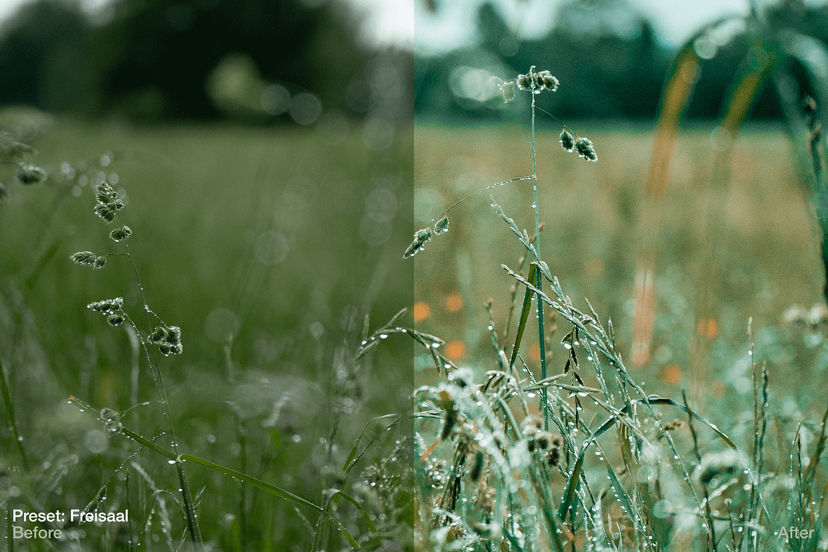 Green Summer - 5 Lightroom Presets, an Action Add-On by maximakesthings (Photo 4 of 5)