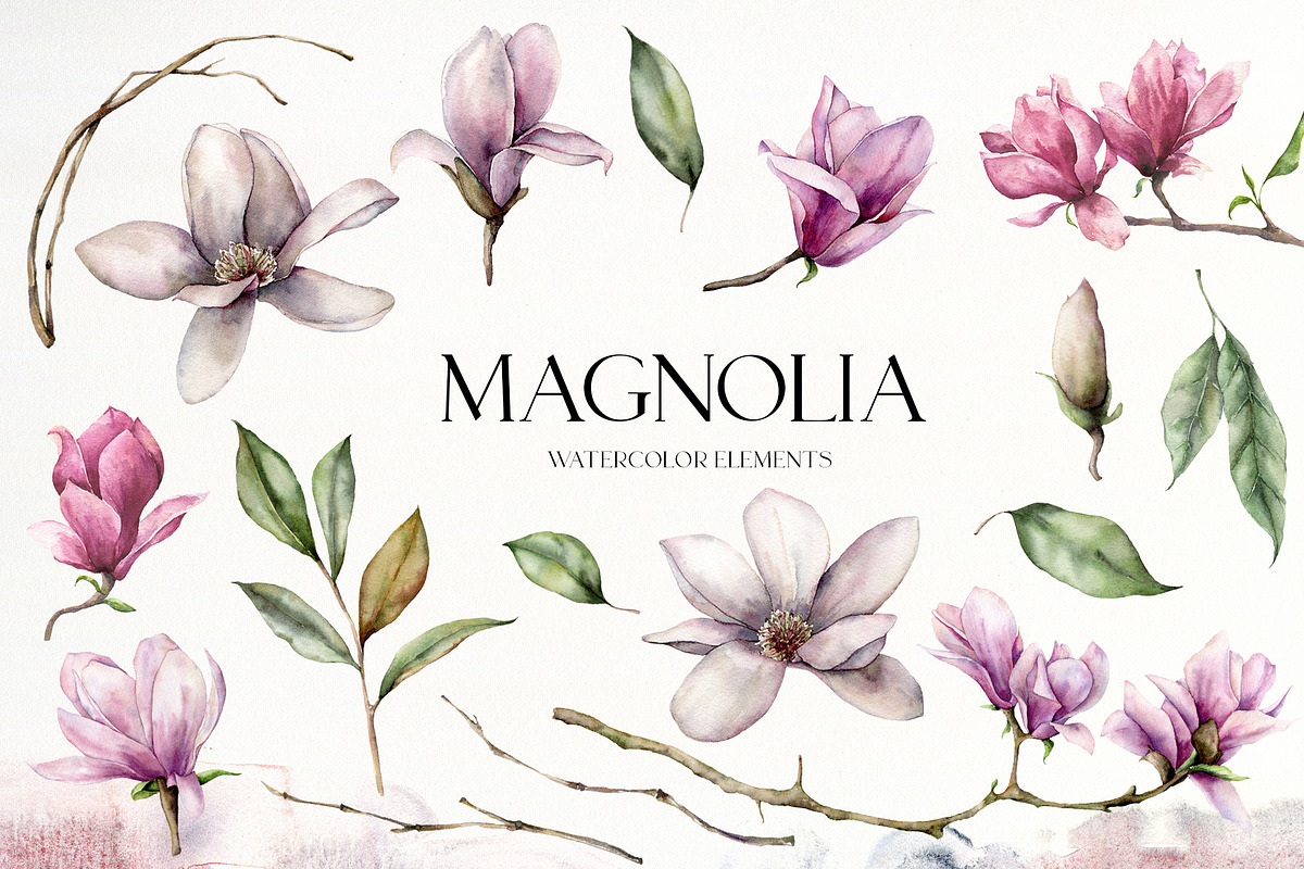 Magnolia flower leaves Watercolor, an Object Graphic by Yuliya Derbisheva (Photo 9 of 13)