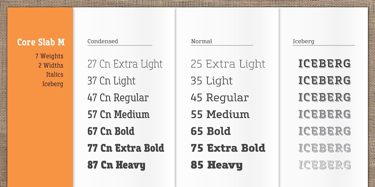 Core Slab M, a Slab Serif Font by S-Core (Photo 3 of 5)