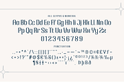Hoojuy | Serif Classic Modernism, a Serif Font by twinstd (Thumbnail 11 of 13)