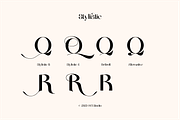 Quessera Font, a Sans Serif Font by Oui Studio (Thumbnail 12 of 21)