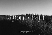 Beyulian Font, a Serif Font by Typegoals Studio (Thumbnail 2 of 7)