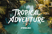 Wreckout - Decorative Brush Font, a Handwritten Font by StringLabs (Thumbnail 3 of 13)
