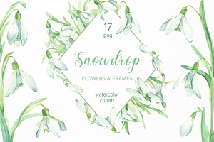 Snowdrop Flower Collection, an Illustration by My Wondercolor