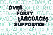 Altair - 14 Fonts, a Sans Serif Font by Zetafonts (Thumbnail 5 of 10)