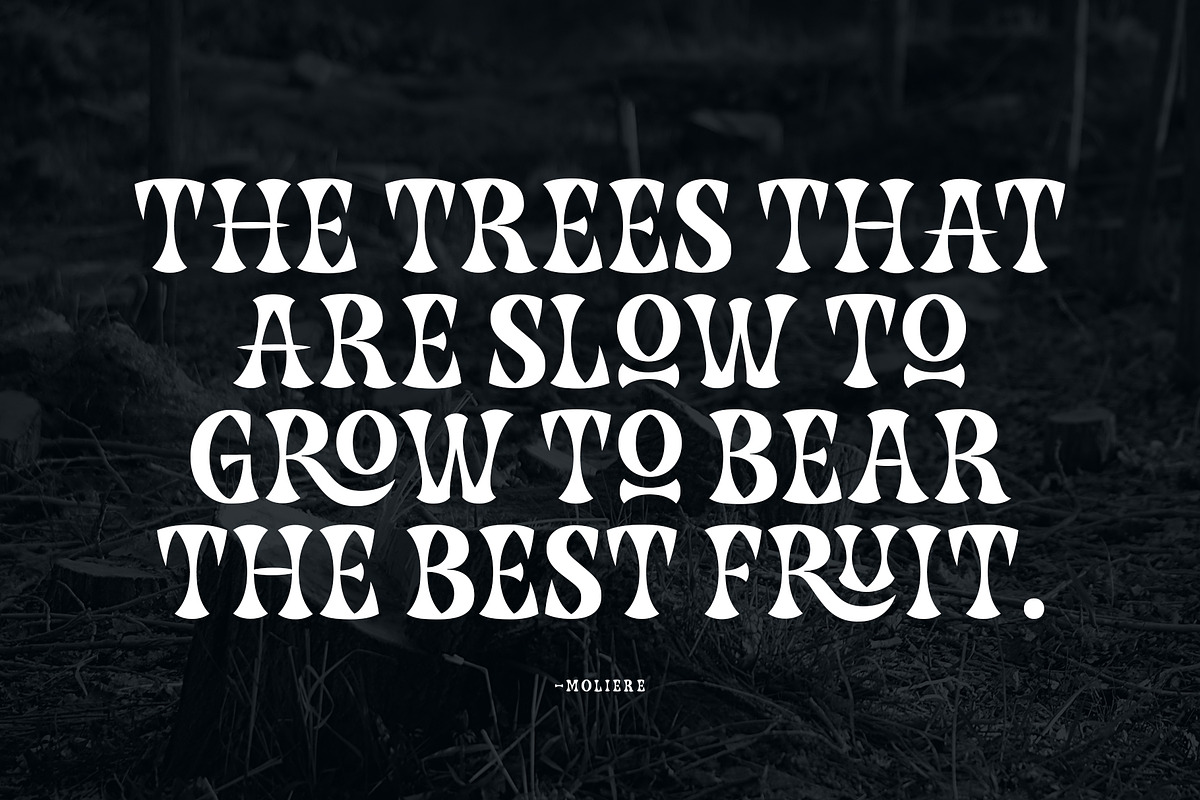 Caupako Font, a Serif Font by trustha (Photo 12 of 15)
