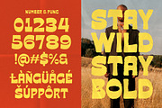 Baquera - Retro Display Font, a Serif Font by Inviline.co (Thumbnail 5 of 10)
