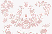 Vintage Floral Bundle, an Object Illustration by studioequinox (Thumbnail 2 of 65)