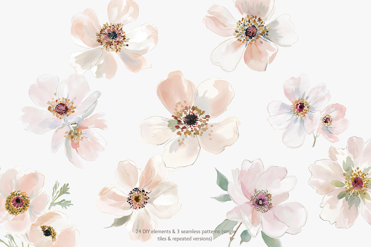 Blush floral clipart & patterns, a Decorative Illustration by Patishop Art (Photo 4 of 6)