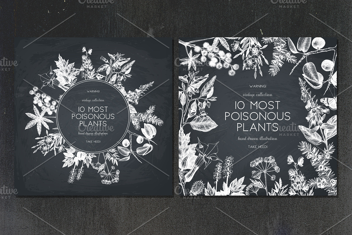 10 Most Poisonous Plants. Vector set, a Healthcare Illustration by Yevheniia (Photo 5 of 8)