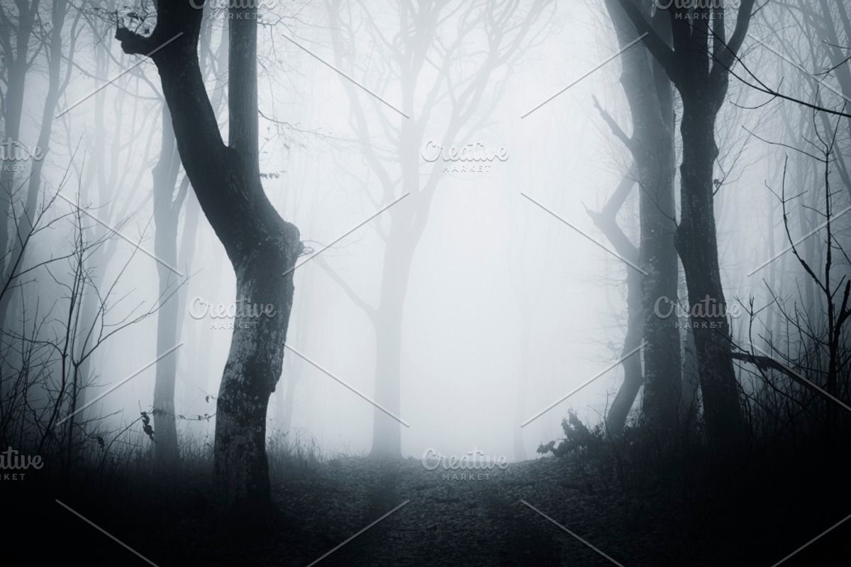 Haunted Halloween Forest Pack 2, a Nature Photo by Atmospheric visuals (Photo 6 of 6)