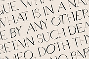 Quarx - Sans & Serif Modern Font Duo, a Sans Serif Font by SilverStag Type Foundry (Thumbnail 17 of 18)