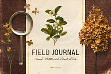 Field Journal Handwritten Font Duo