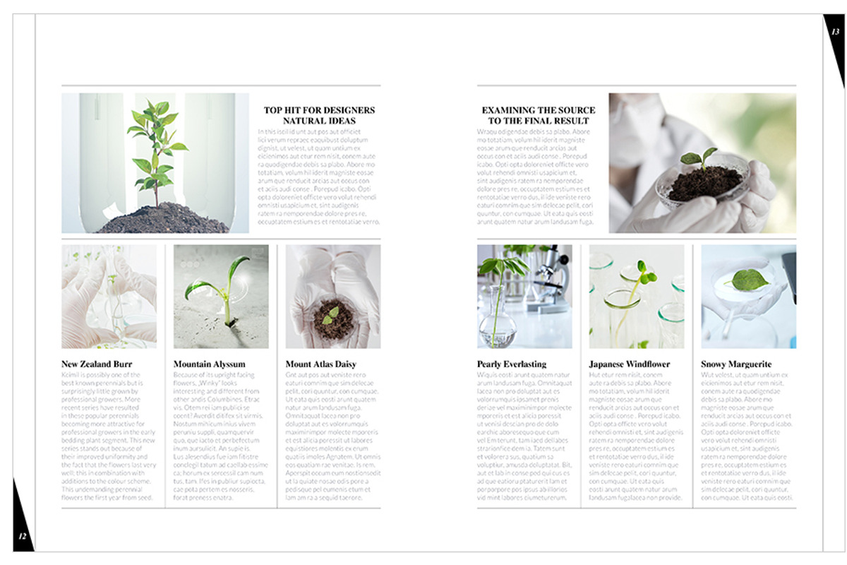 Magazine Template InDesign 12, a Magazine Template by Love Graphic Design (Photo 15 of 20)