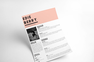 Modern Resume Template The Edie