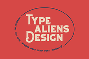 Dhonver, a Serif Font by ilhamtaro (Thumbnail 2 of 11)